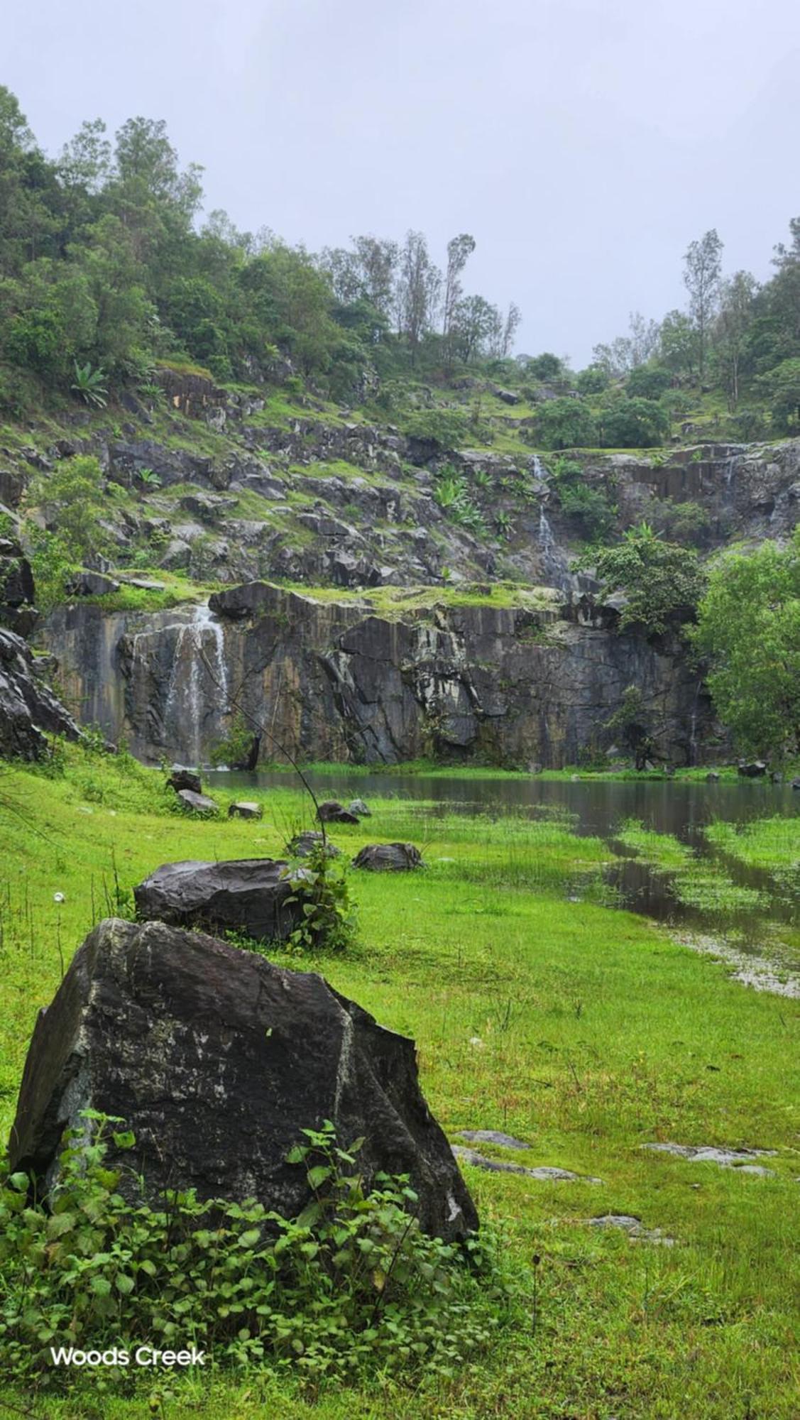 Woods Creek Daire Dandeli Dış mekan fotoğraf